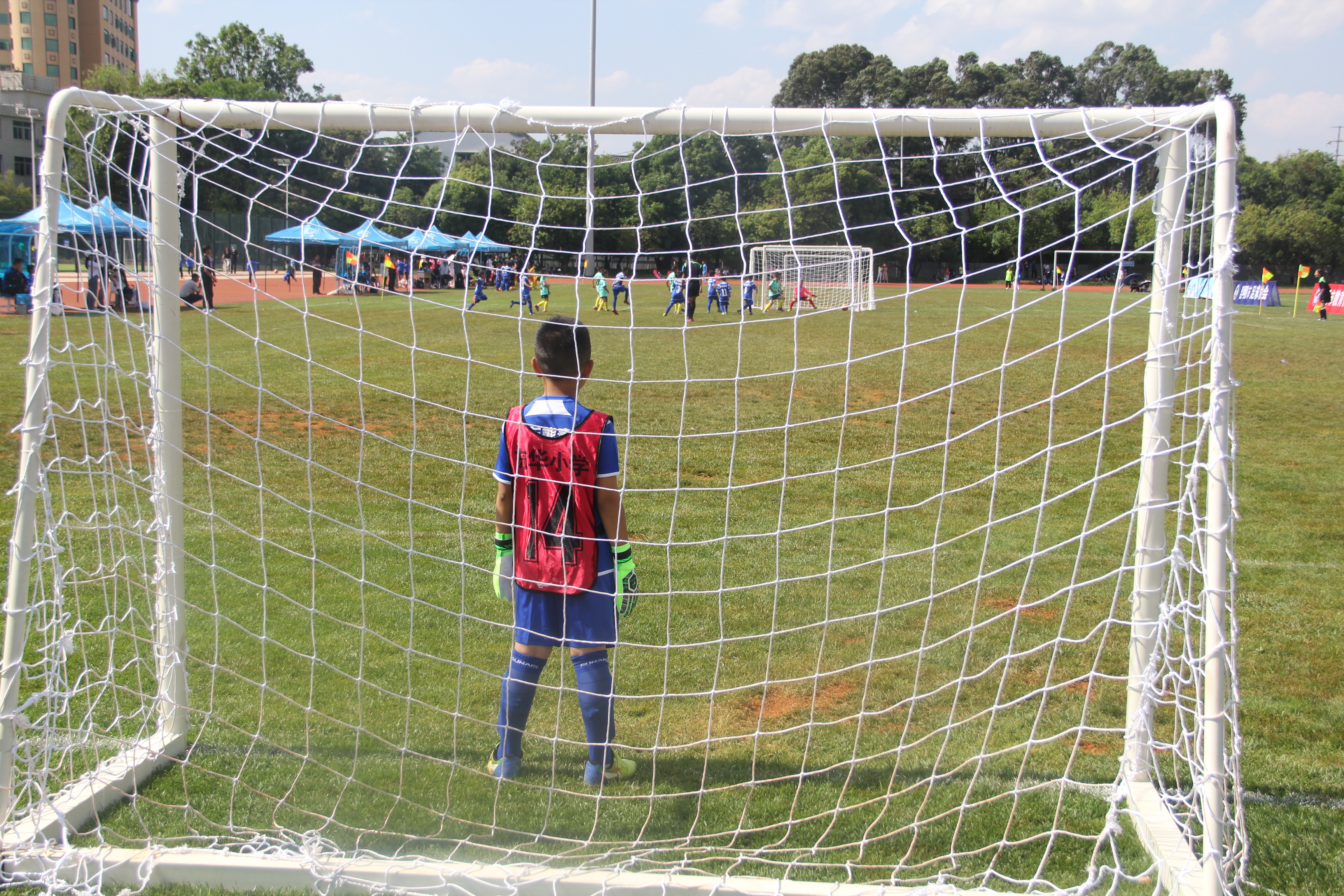 ayx.com-东方足球赛场高潮迭起观众欢呼不止的简单介绍  第1张